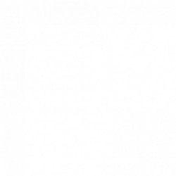 AMORTIGUADOR DEPORTIVO...